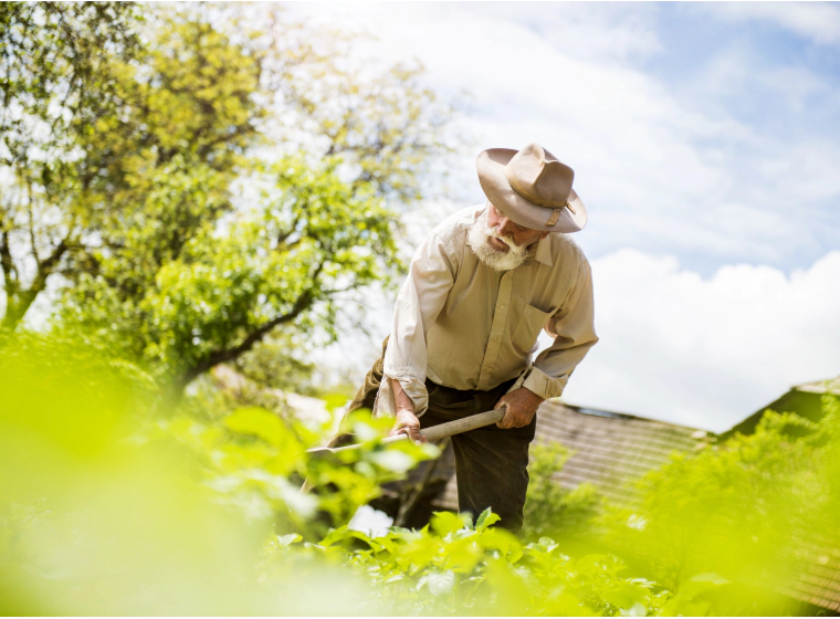 Commercial Tree Services Stafford, VA Discounts Available!