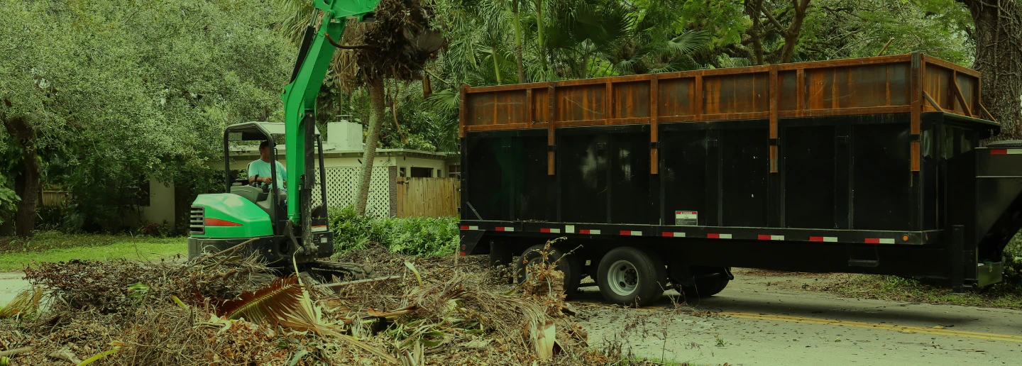Tree Removal Services Stafford, VA 15 Off For First Time Customers!